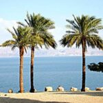 Vacanze 2009, 6 italiani su 10 in ferie per una sola settimana 